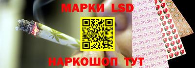 СК Обнинск