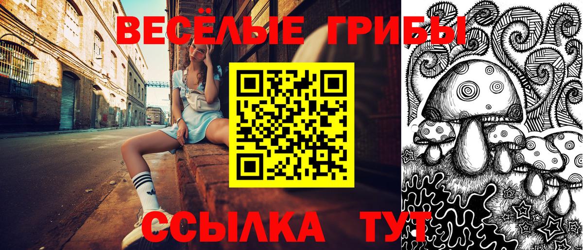 Псилоцибиновые грибы Psilocybe Сосновоборск