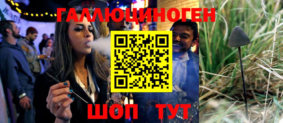 Галлюциногенные грибы Psilocybe  Псилоцибиновые грибы мицелий  Вход с VPN  Сосновоборск 